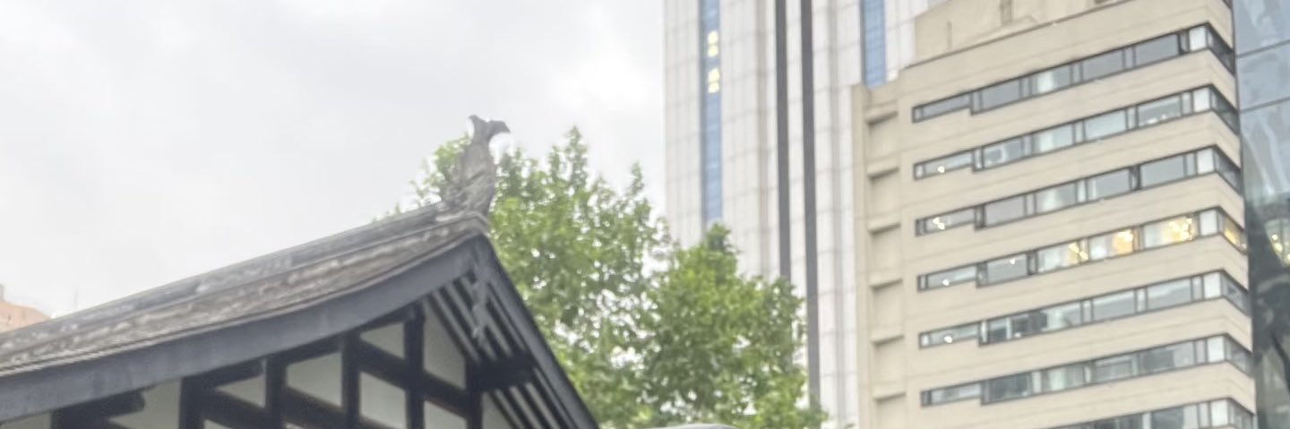 luisparadis's profile banner image