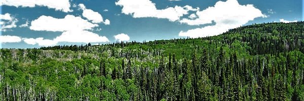 LunadelSol2014 Profile Banner