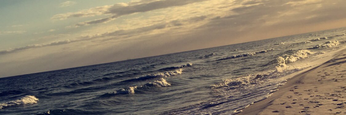 aloha_kinder's profile banner image
