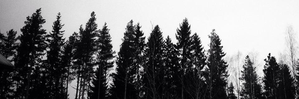 HollyCC's profile banner image
