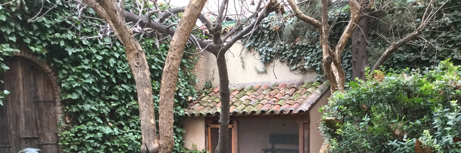 Esther Carcelén banner