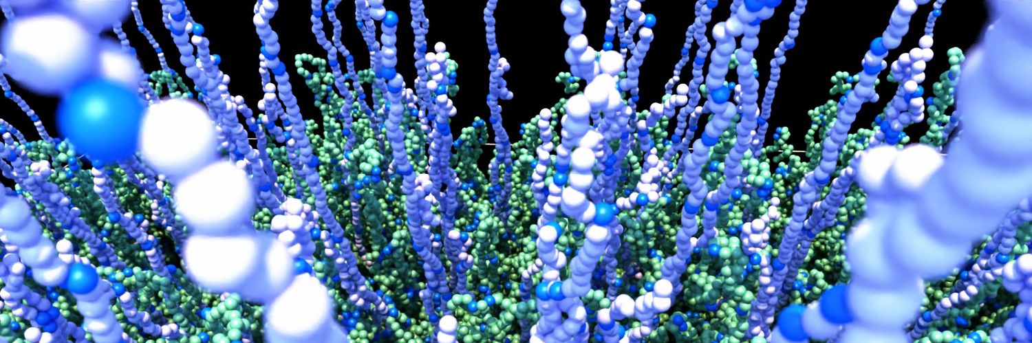 Thomas O'Connor banner