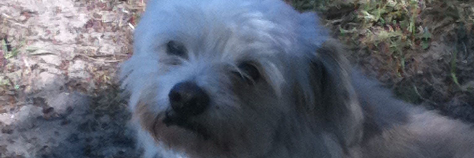 TookIt4Granted's profile banner image