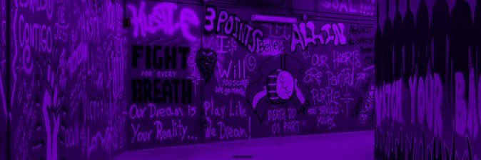 Staar banner