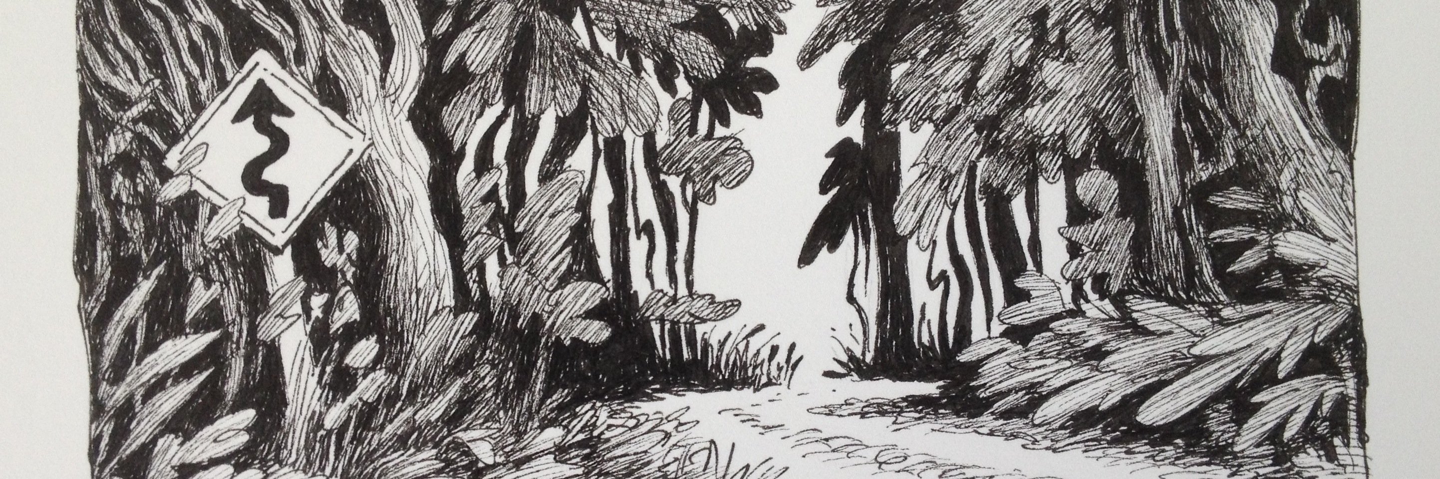 MarkOftedal's profile banner image