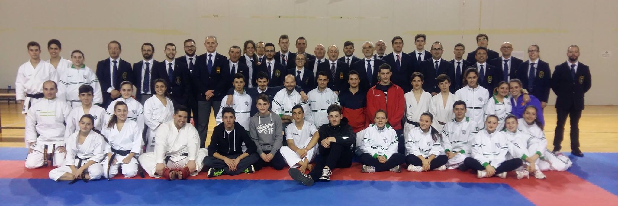 Federación Extremeña de Karate y D.A. banner