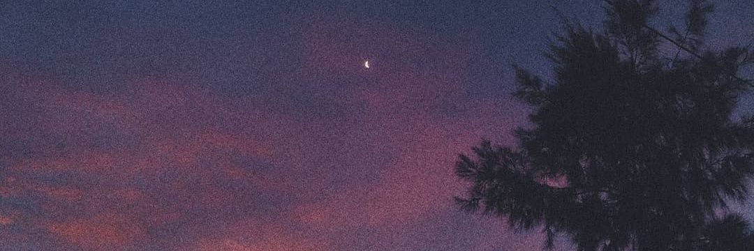 Victoriaasur's profile banner image