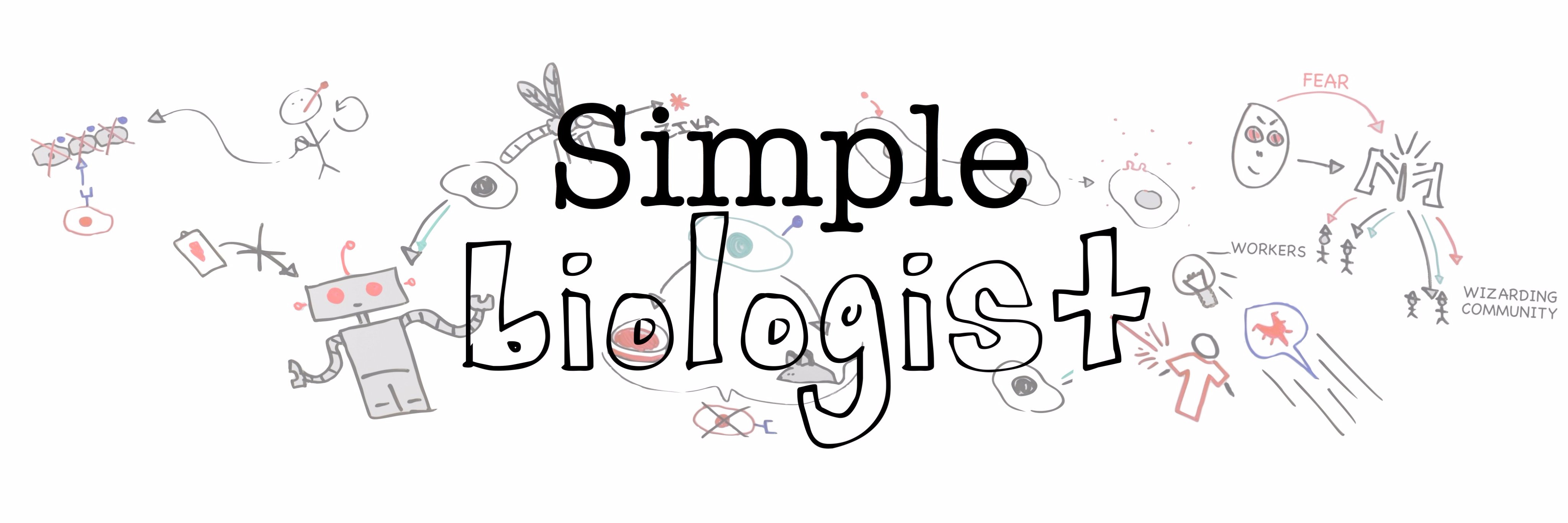 Kate Bredbenner, PhD banner