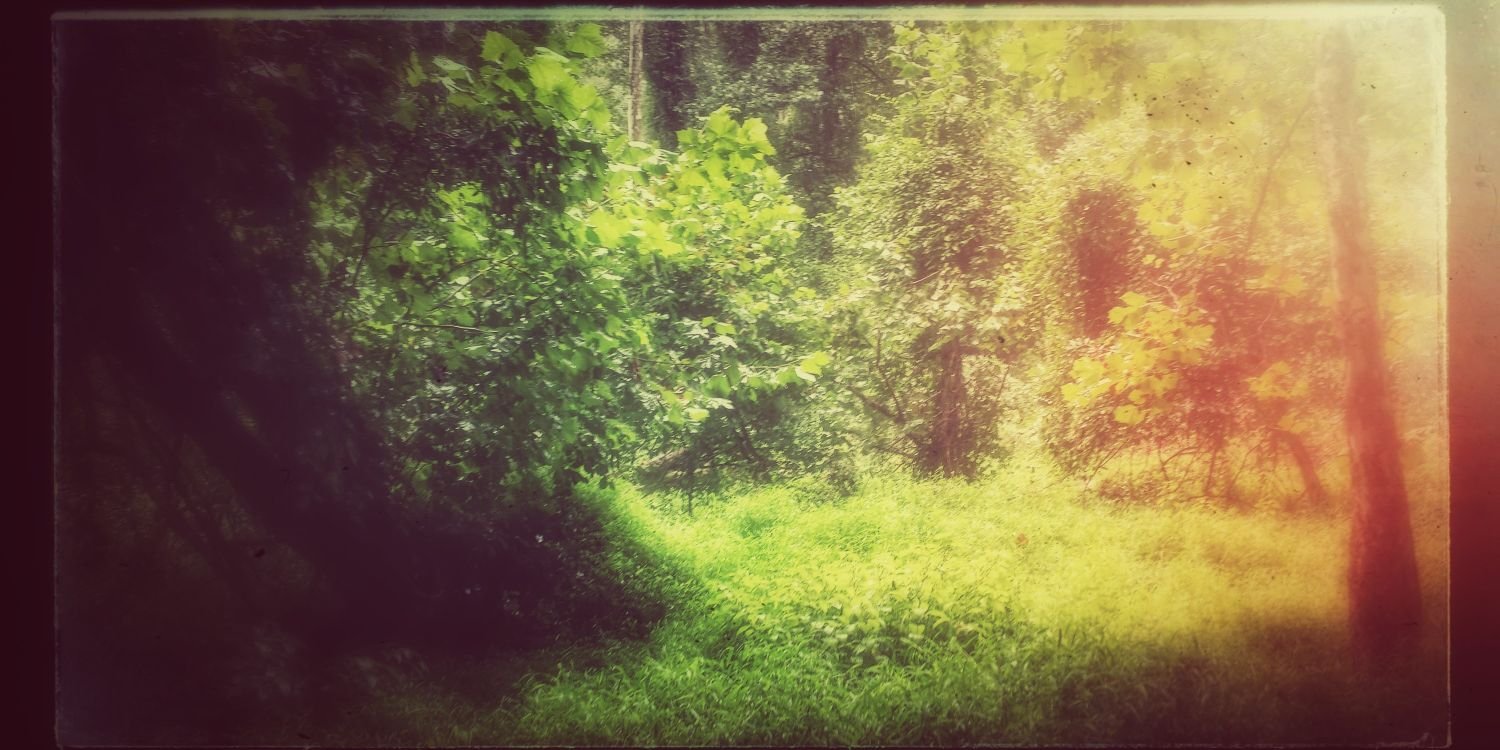 jennifer_parde's profile banner image