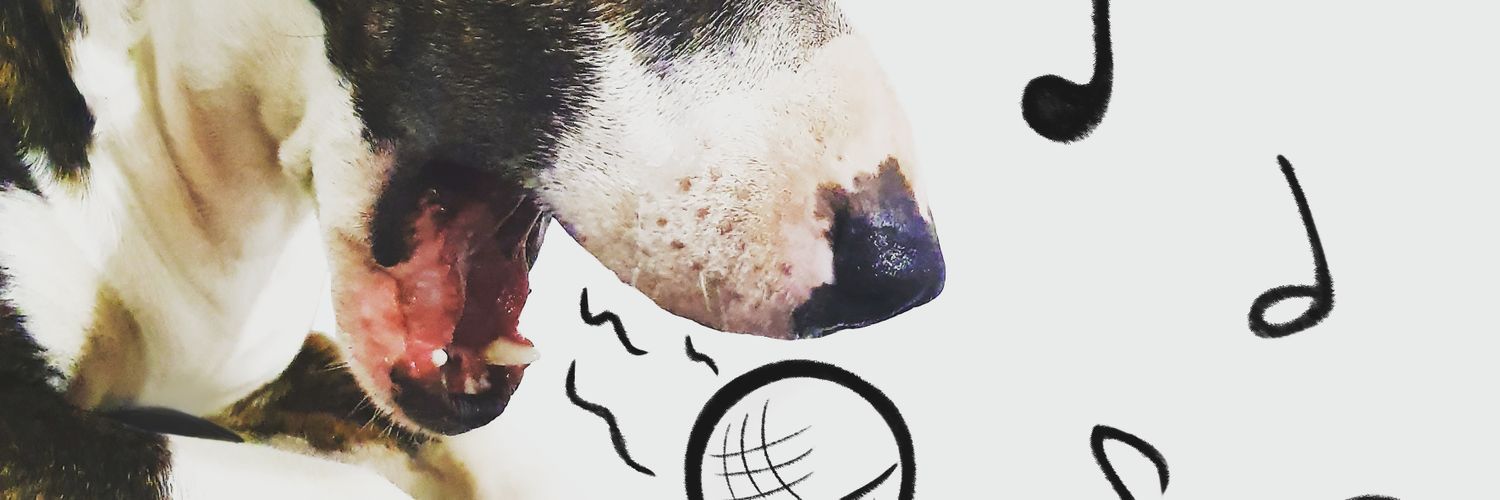 YennyC30's profile banner image