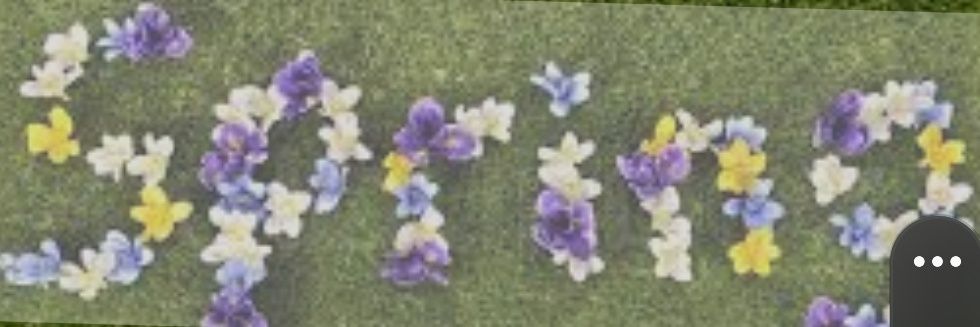 ItBare's profile banner image