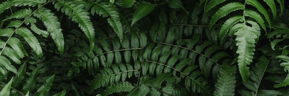 conneraliyah's profile banner image