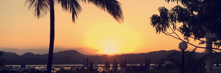 Coley_Biggins's profile banner image