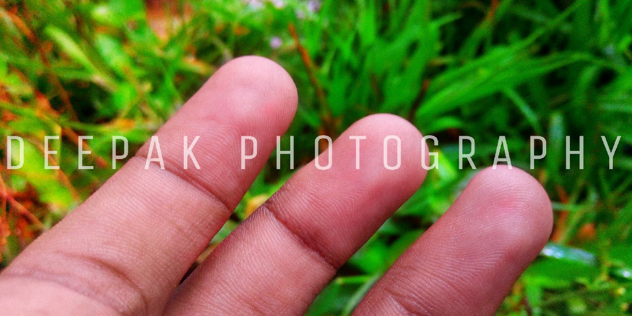 dpk_official's profile banner image