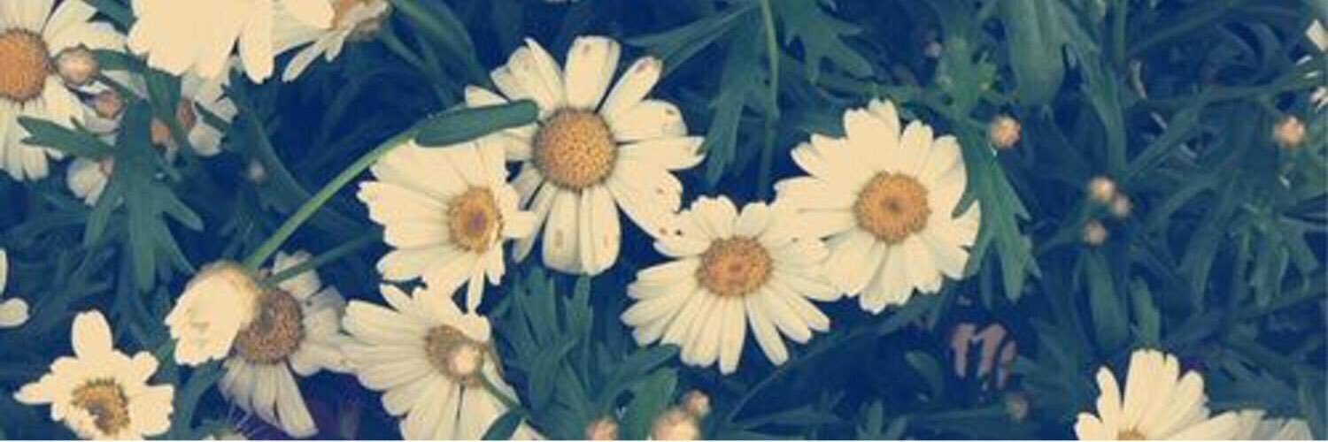 macylauren's profile banner image