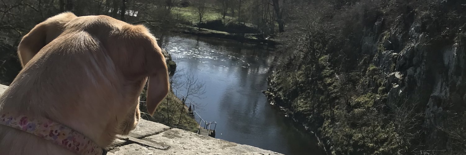 ashleigh616's profile banner image