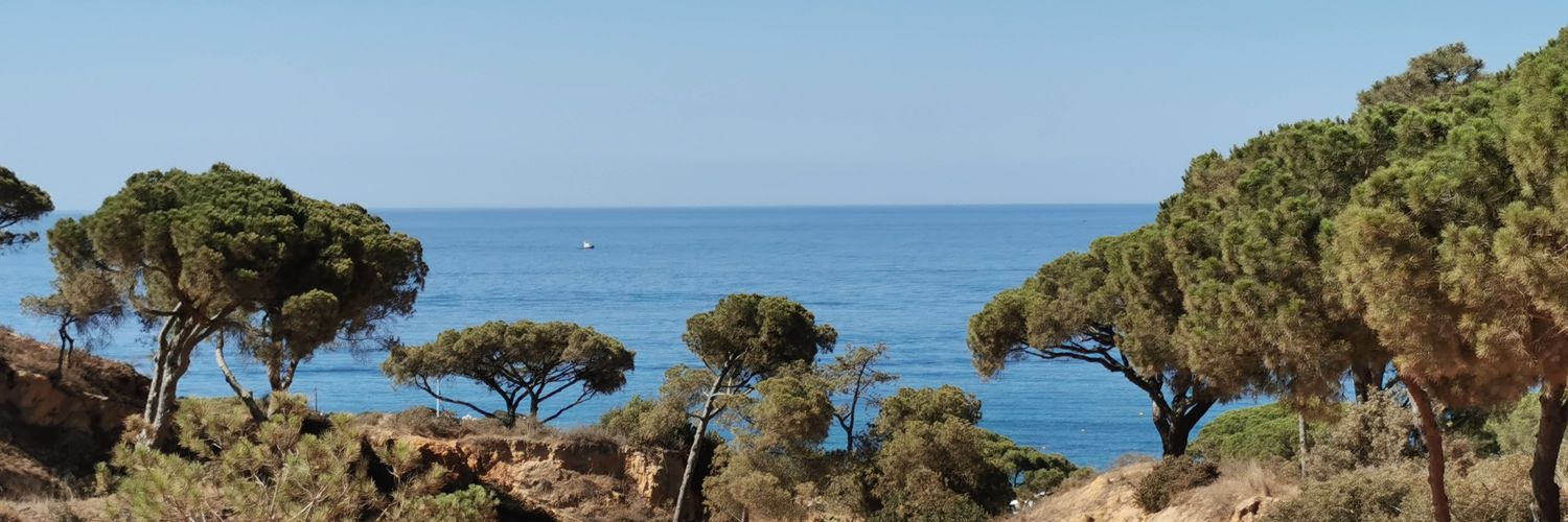 marcstruik's profile banner image