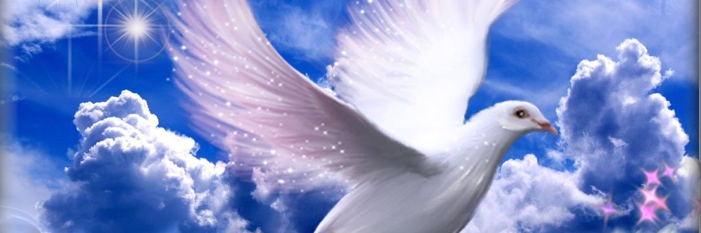 La Bella Mariposa banner