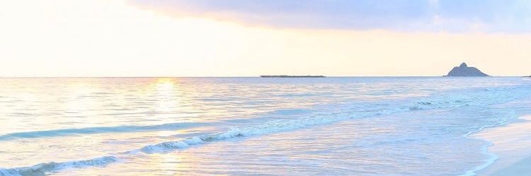 ☁︎︎𝑚𝑥𝑙𝑑. ☽ banner