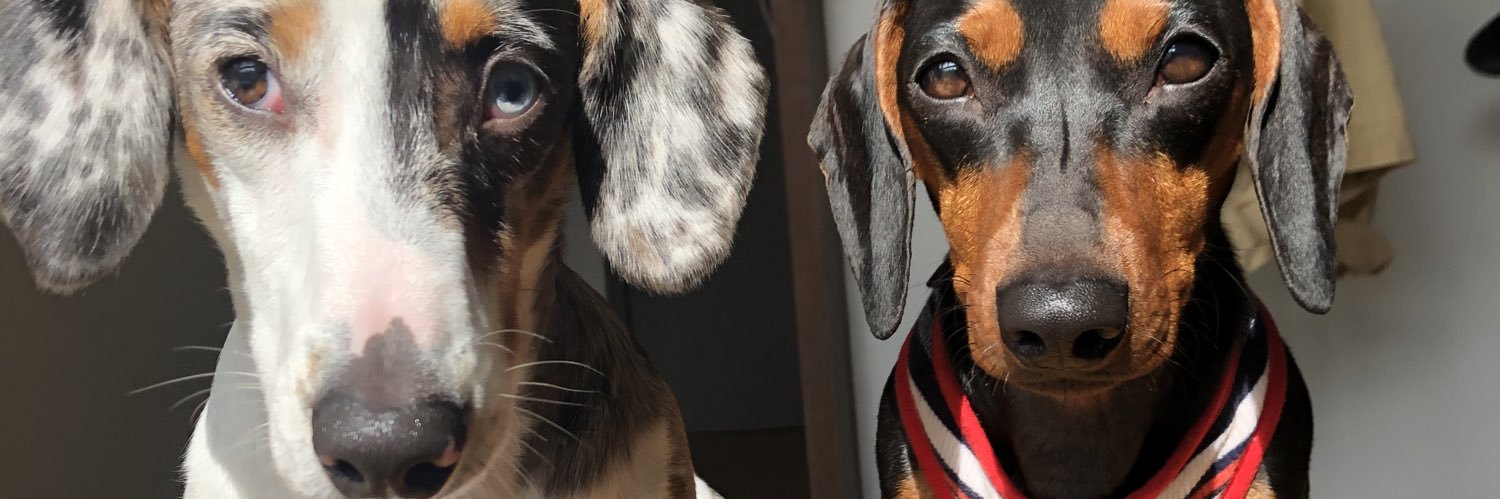 flolainoo's profile banner image