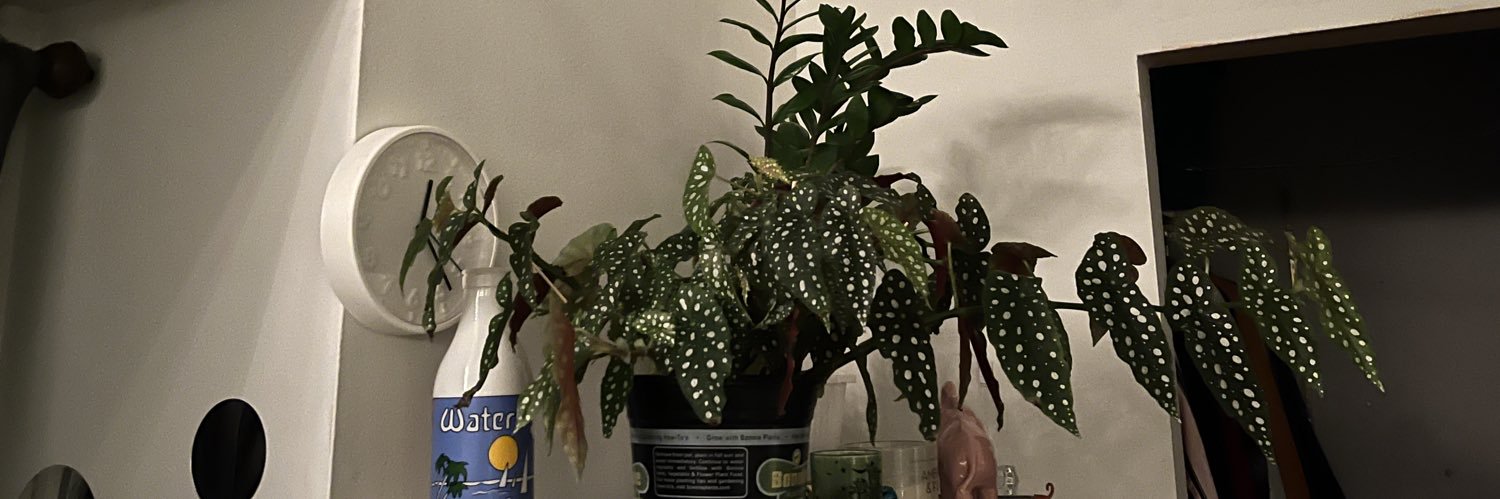 _tereessaa's profile banner image