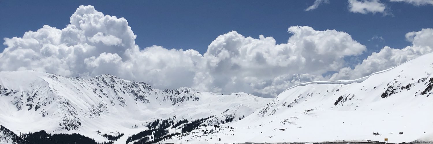 flannerylarson_'s profile banner image