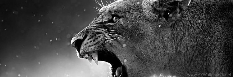 JrZeb's profile banner image