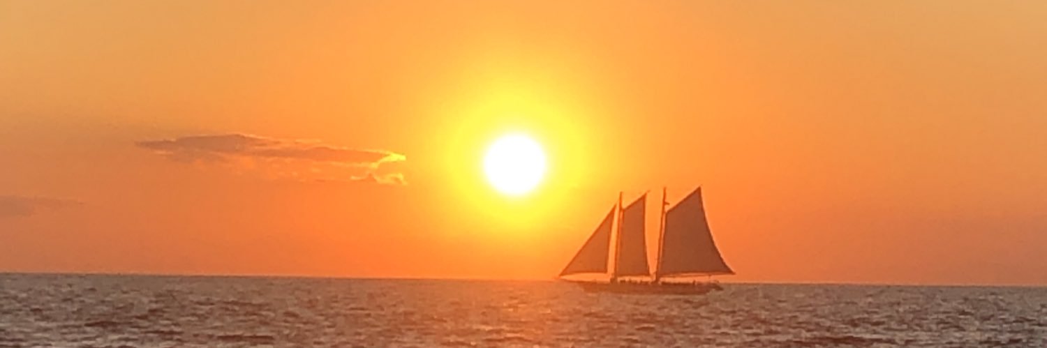 MartinVScott1's profile banner image