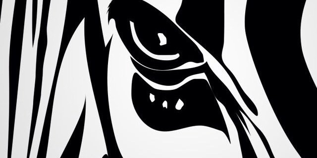 clara_maca's profile banner image