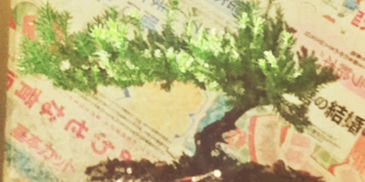NGioGraphic's profile banner image