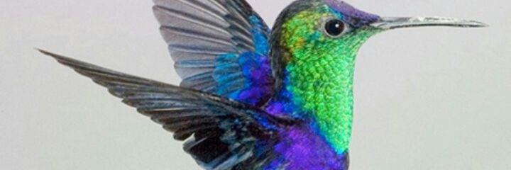 DmDreyna's profile banner image