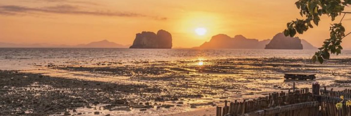 sinnex69's profile banner image