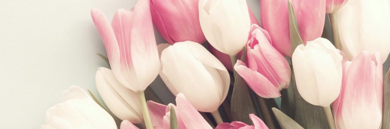 _AnahiFranco's profile banner image