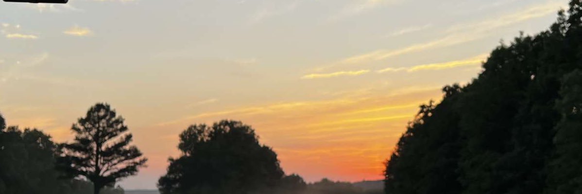 michaela_rb's profile banner image