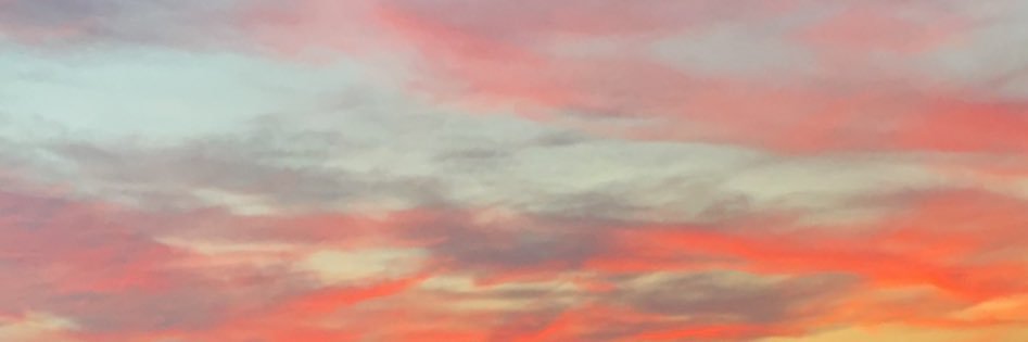 jadethornton_'s profile banner image