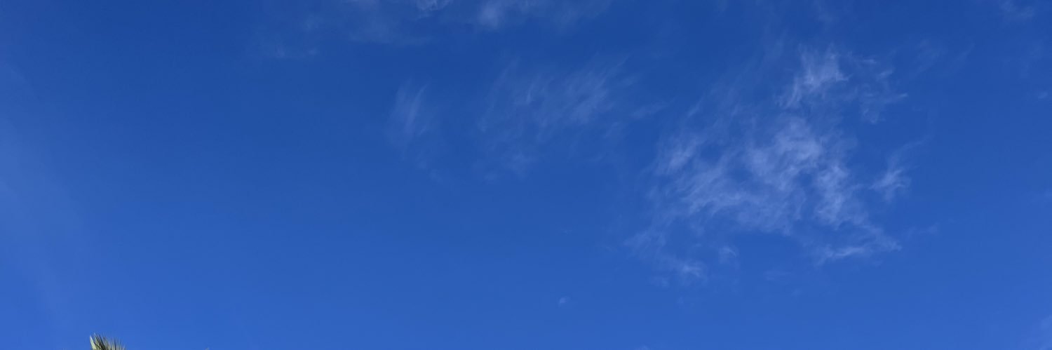 S. 💙 banner