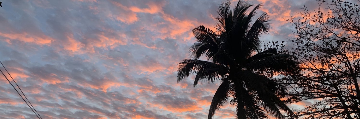 MathewNewton_'s profile banner image