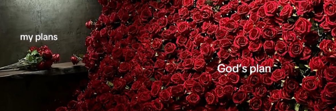 djifa_van's profile banner image