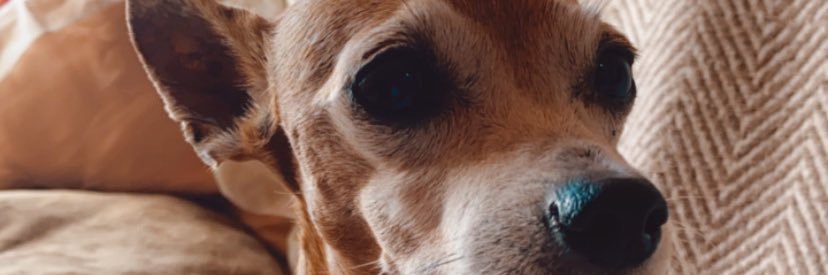 erickamc01's profile banner image