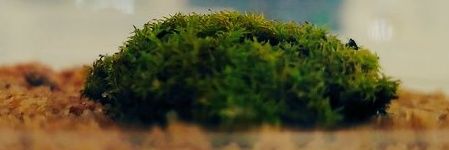 Damian Rivett banner