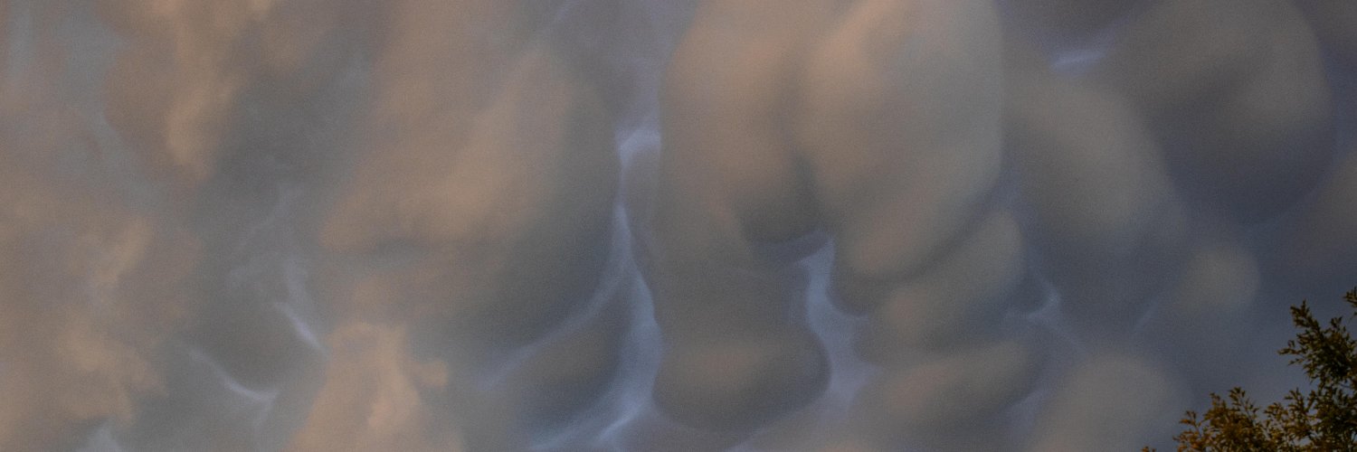 gobbernaught's profile banner image