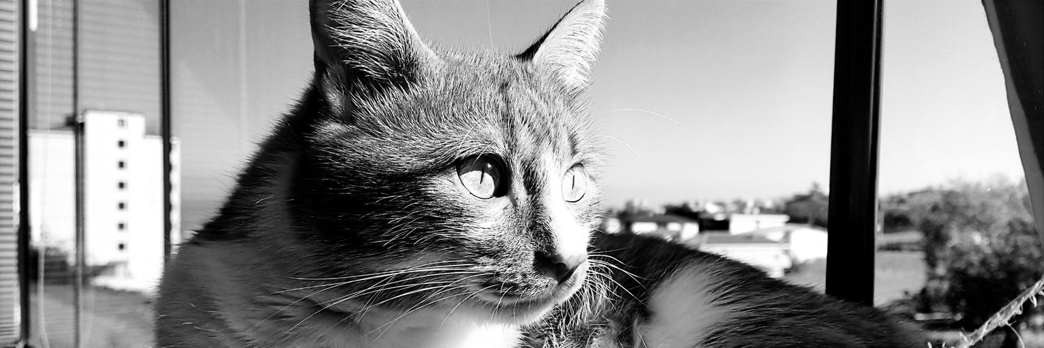 felsefehayat's profile banner image