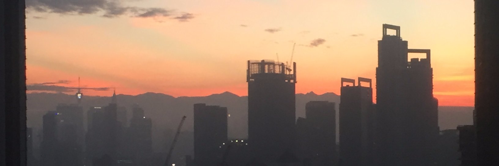 timbergmeier's profile banner image