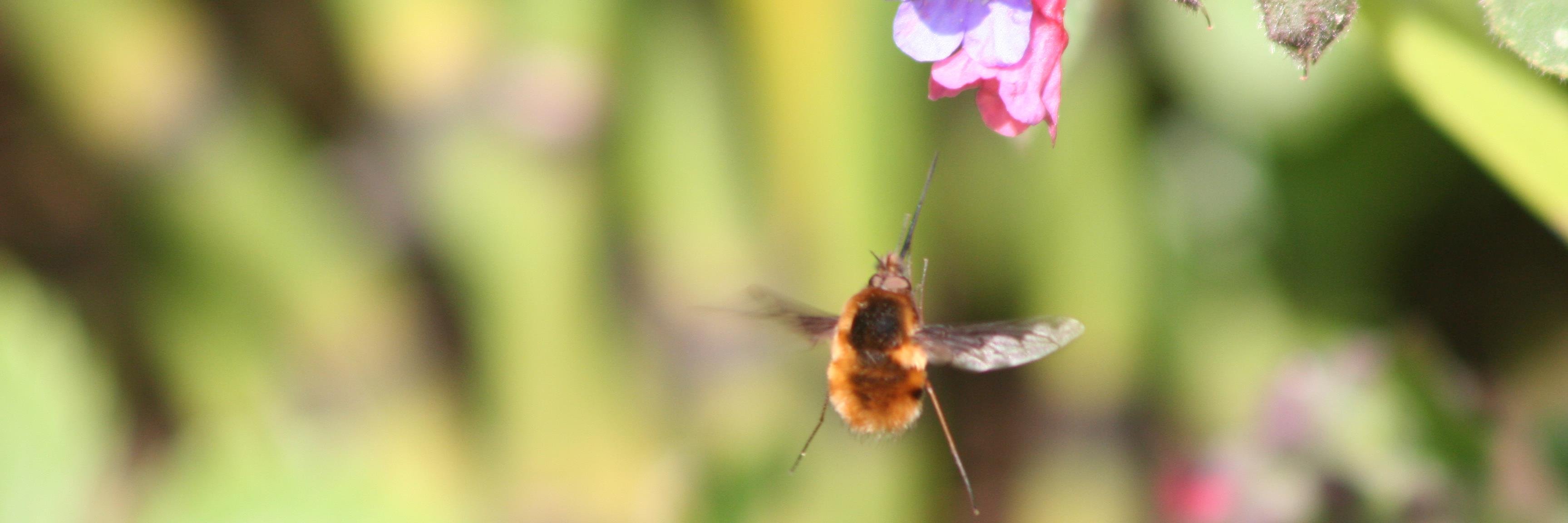info_ecology's profile banner image