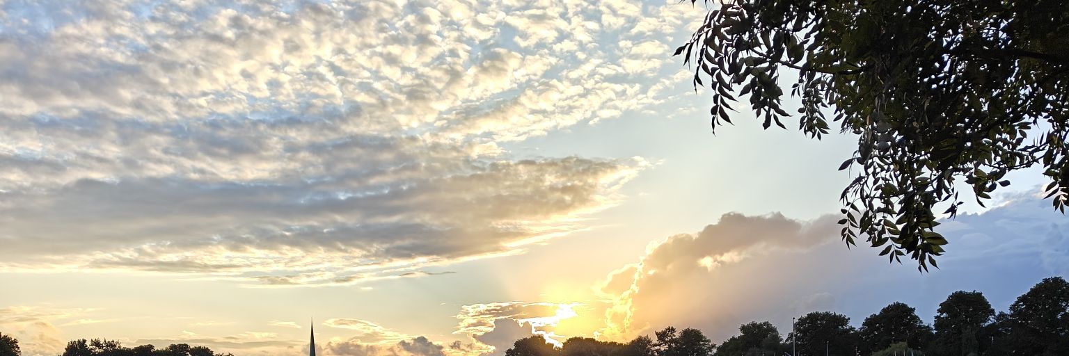 benni_mn's profile banner image