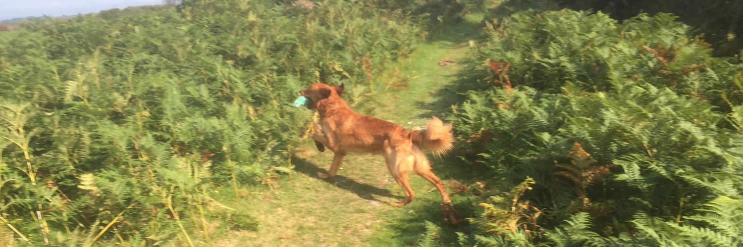 Rob50 aka SPARKER banner