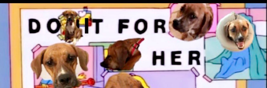abbsfost's profile banner image