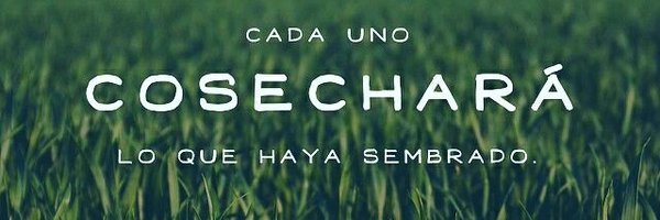 edupoh Profile Banner