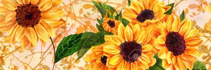 maichus_g's profile banner image