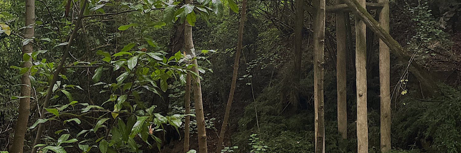 jadejcqt's profile banner image